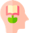 مغز